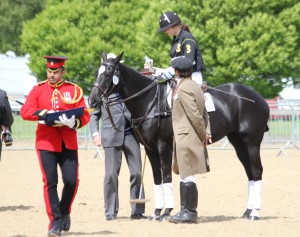 Meureda winning the Polo Pony Class at Royal Windsor Horse Show May 2013